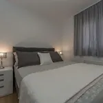 Penthouse Nikola Apartment